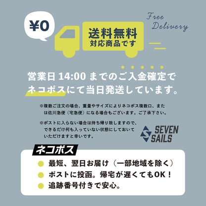 ピカスティック2本入り【送料無料】